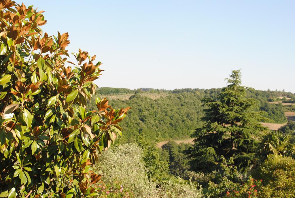 Il Gelsomino Del Perugino Villa Città della Pieve Dış mekan fotoğraf